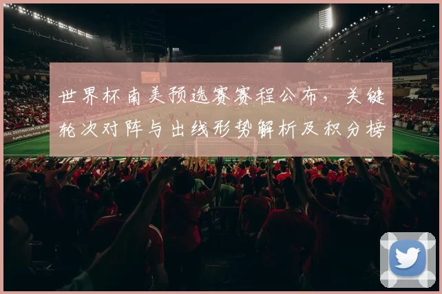 世界杯南美预选赛赛程公布，关键轮次对阵与出线形势解析及积分榜走势