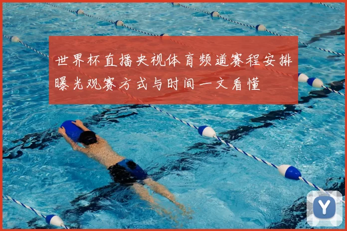 世界杯直播央视体育频道赛程安排曝光观赛方式与时间一文看懂